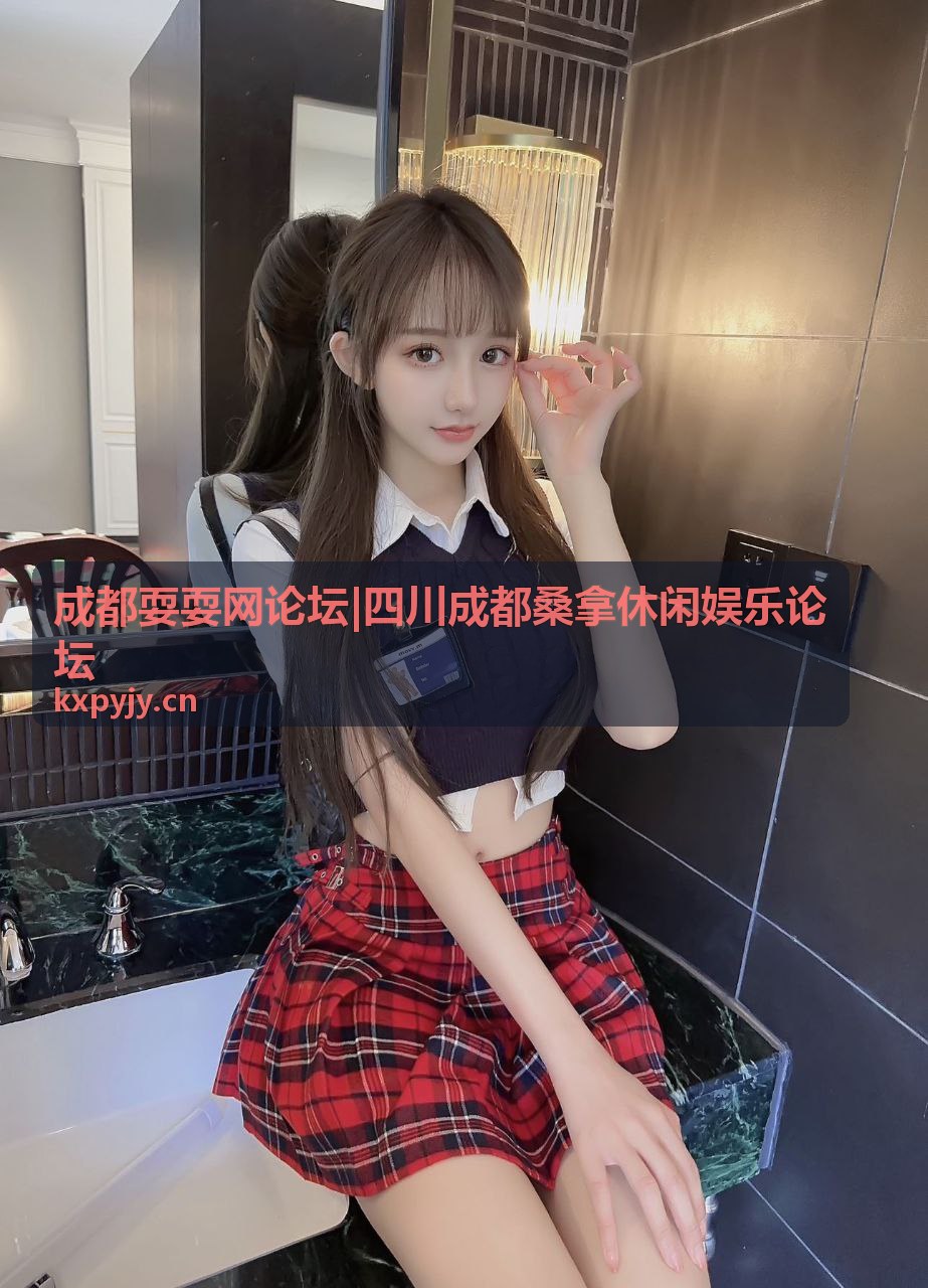 成都耍耍网论坛新手使用指南封面